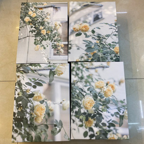 Пакет подарунковий паперовий L "Roses" 31*42*11см Stenson (R91333-L)