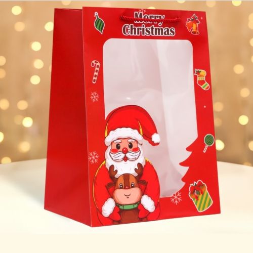 Картинка  Пакет новорічний паперовий S "New Year" 25*18*13см Stenson R96891-S от магазина cd-market фото 2
