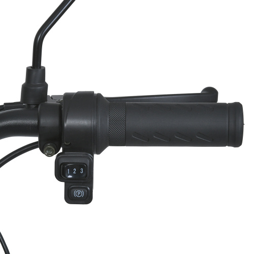Електроскутер Profi MES 1030-2 BOLT/BAT фото 9