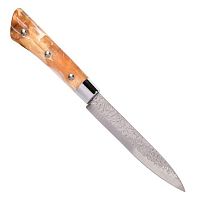 Ніж кухонний 24см (лезо 12.5см) Stenson R100223
