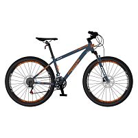 Велосипед дитячий двоколісний Profi FD-2906 «Freedom» (колеса Ø29"/гума, рама: 15"/алюміній, гальмо ручне/ножне, від 12 років)