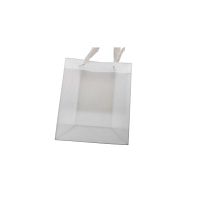 Пакет подарунковий PP S "Mist-V" 19.5*24.5*9.5cм Stenson R40883-S