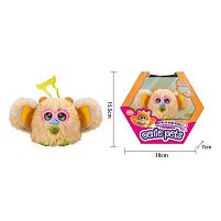 Улюбленець FJ 5203 A в коробці