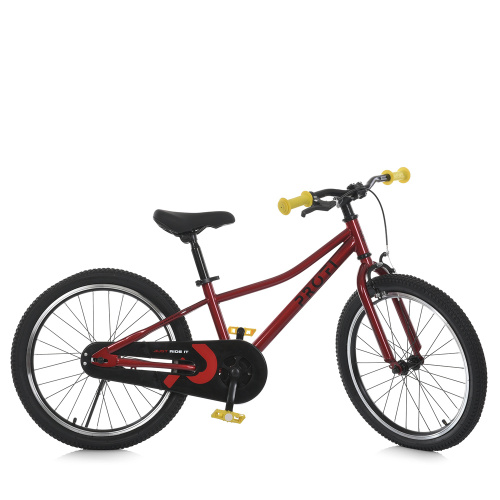 Велосипед дитячий двоколісний Profi MB 2007-1 (⌀ коліс: 20")