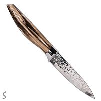 Ніж кухонний 21см (лезо 10.5см) Stenson R100227