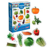Набір магнітів "Vegetables" ML4031-12 EN "Magdum", в коробці