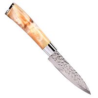 Ніж кухонний 20см (лезо 9см) Stenson R100226