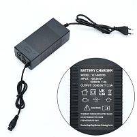 Зарядний пристрій для дитячого електроквадроцикла Bambi Racer Charger-1500W