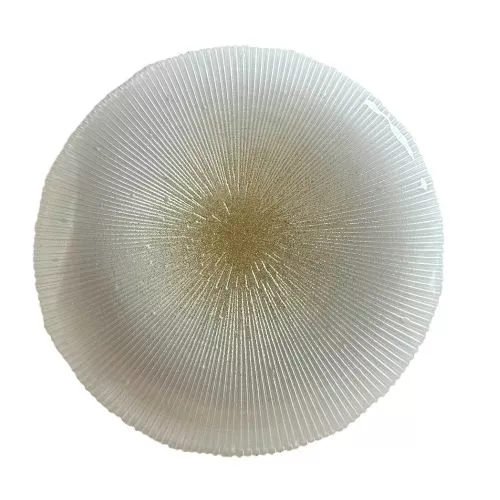 Блюдо скло "Dandelion" 26см Stenson R35895-26